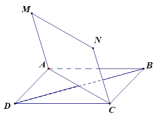 Hình minh họa câu hỏi
